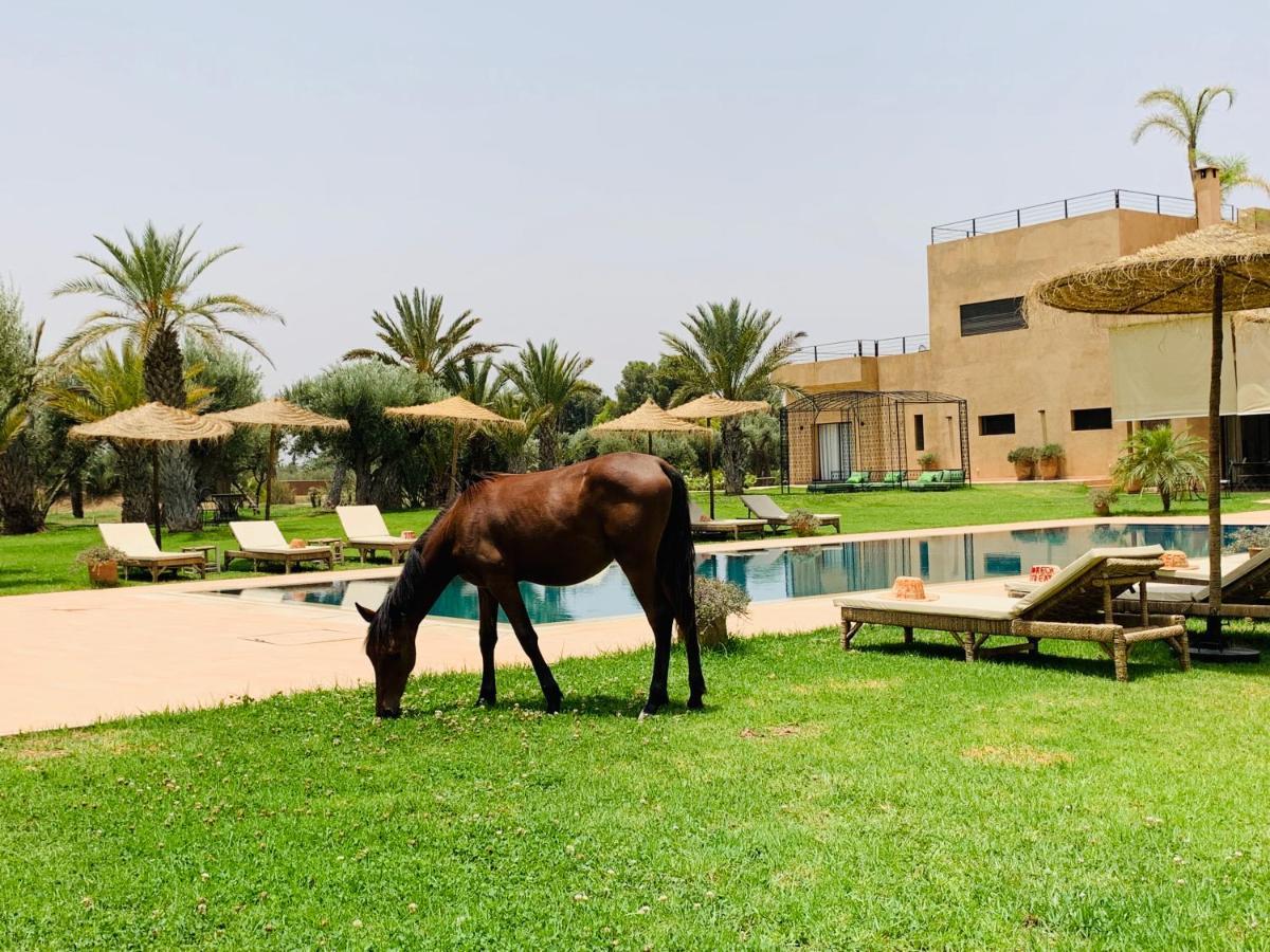 Marrakech Retreat Hotel Srarhna Ngoại thất bức ảnh
